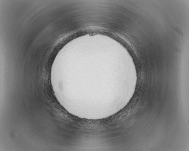 X0000110980823200907310947