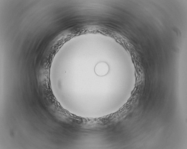 X0000110980824200907310947