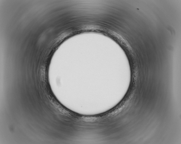 X0000110980825200907310947
