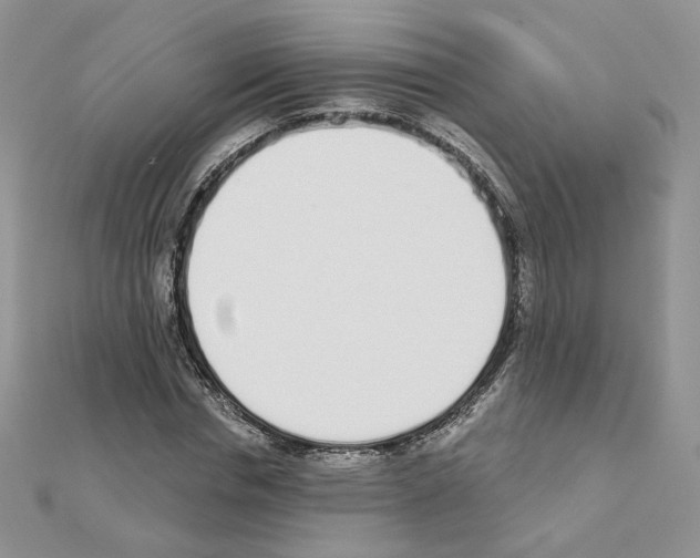 X0000110980826200907310947