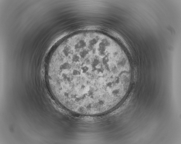 X0000110980827200907310947