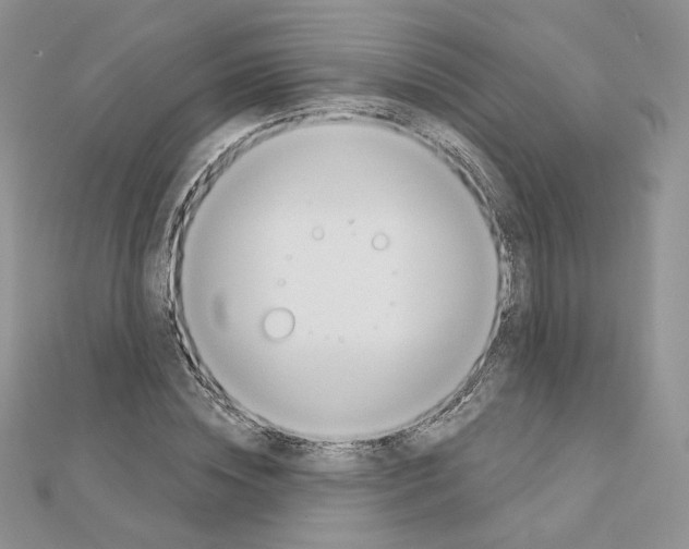 X0000110980828200907310947