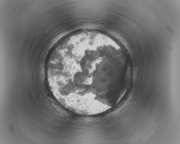 X0000110980829200907310947