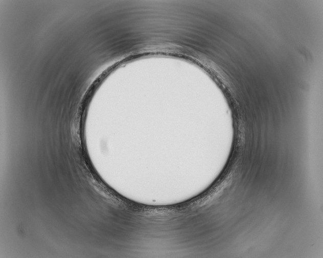X0000110980830200907310947