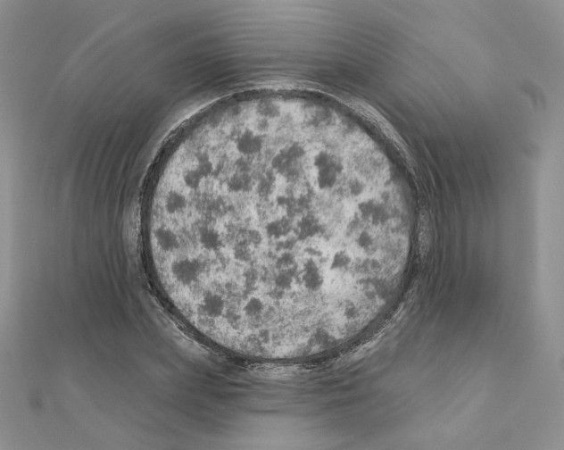 X0000110980831200907310947