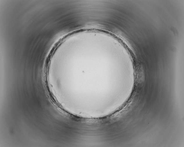 X0000110980832200907310947