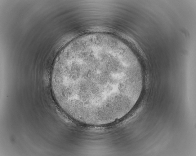 X0000110980833200907310947