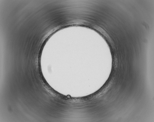 X0000110980834200907310947
