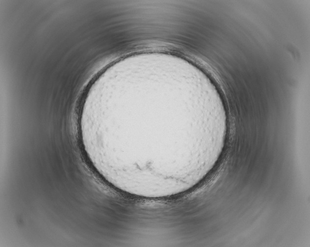 X0000110980835200907310947