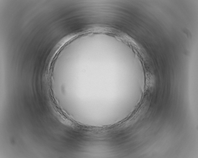 X0000110980836200907310947