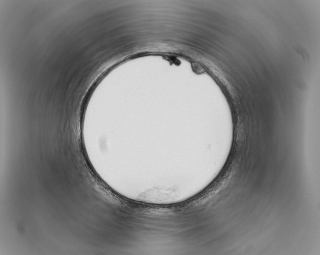 X0000110980837200907310948