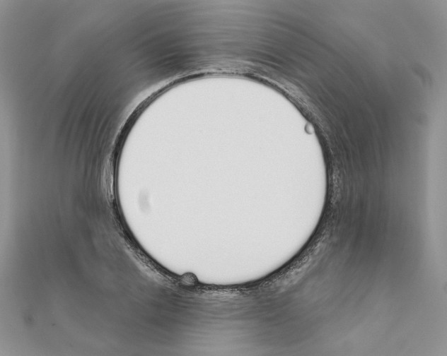 X0000110980838200907310948