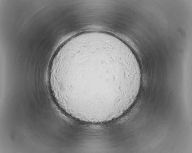 X0000110980839200907310948