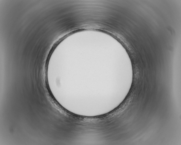 X0000110980840200907310948