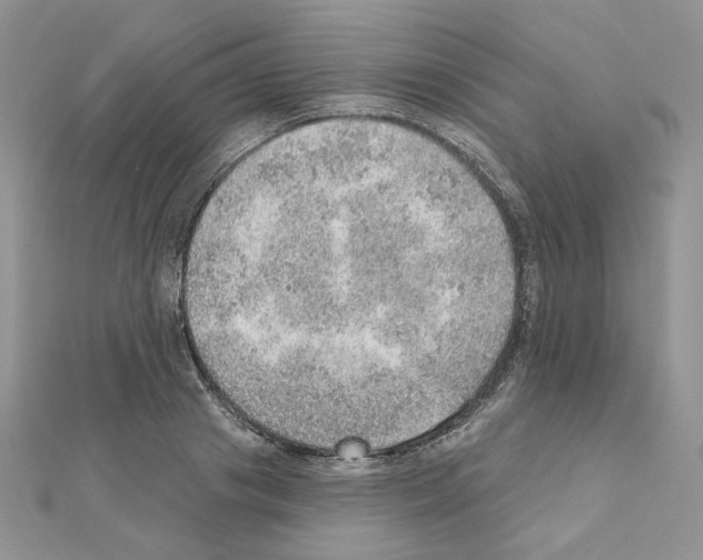 X0000110980841200907310948