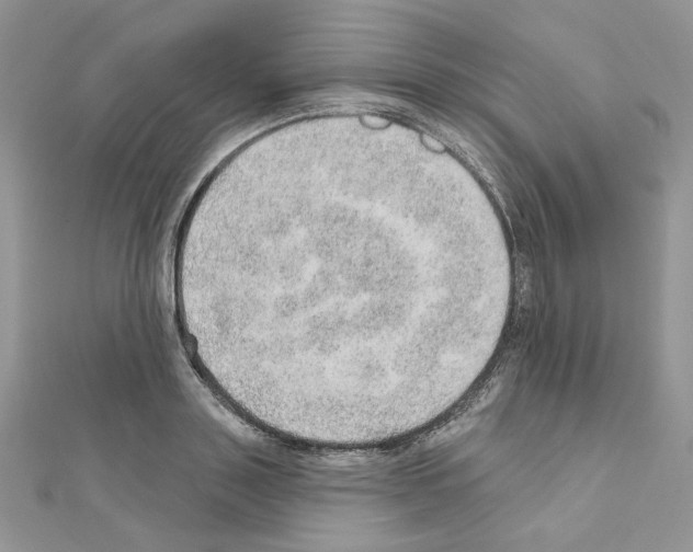 X0000110980843200907310948