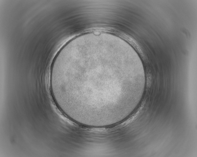 X0000110980844200907310948
