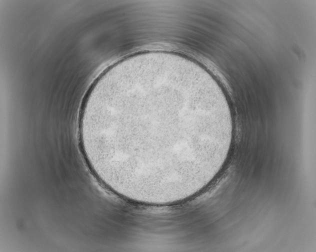 X0000110980845200907310948