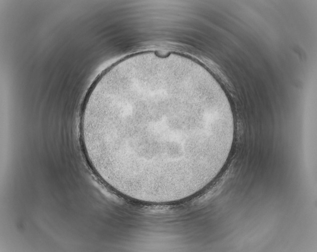 X0000110980846200907310948