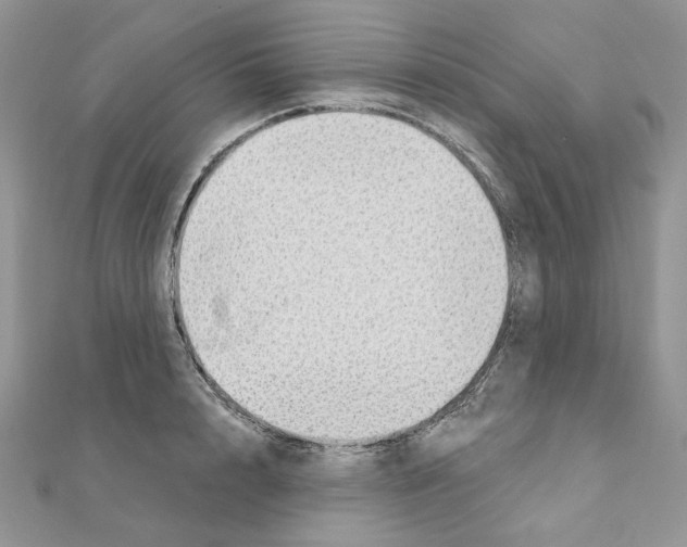 X0000110980848200907310948