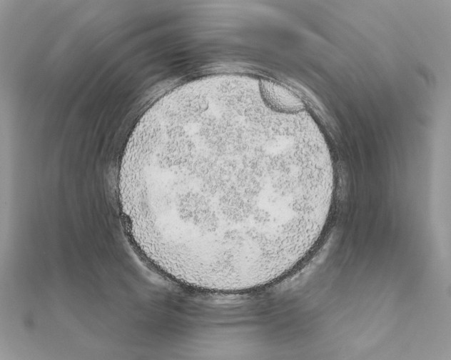 X0000110980849200907310948