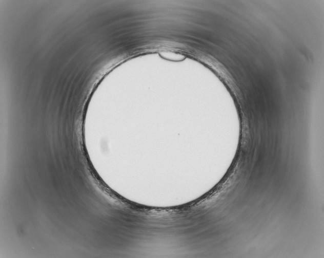 X0000110980850200907310948