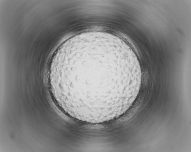 X0000110980851200907310948