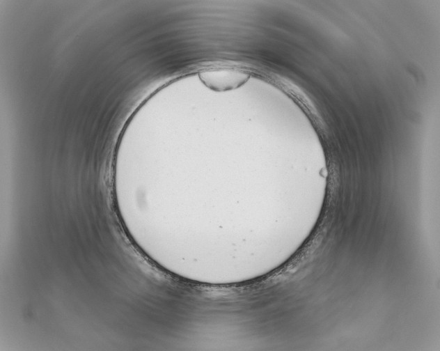 X0000110980852200907310948