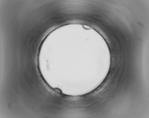 X0000110980853200907310948