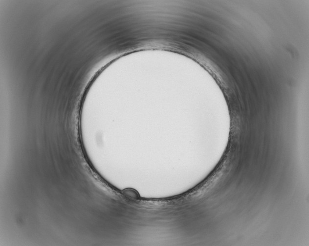 X0000110980854200907310948
