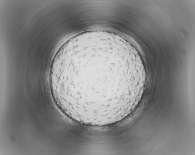 X0000110980855200907310948