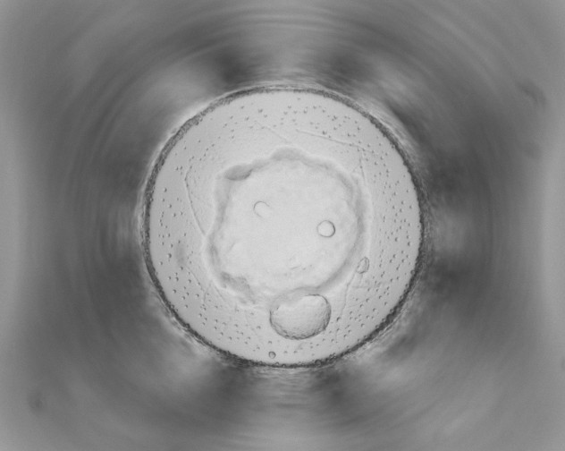 X0000110980856200907310948