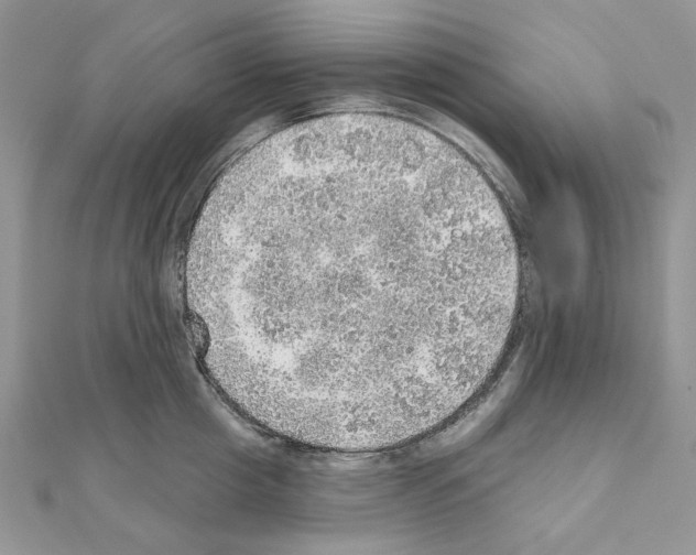 X0000110980857200907310948