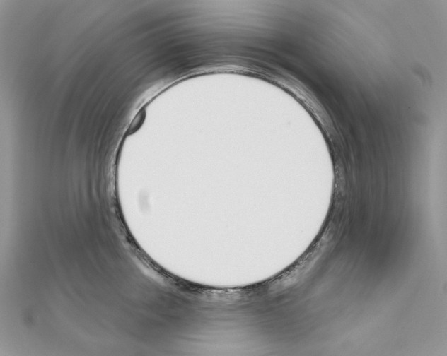 X0000110980858200907310948