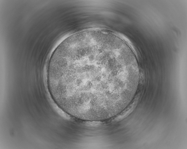 X0000110980859200907310948
