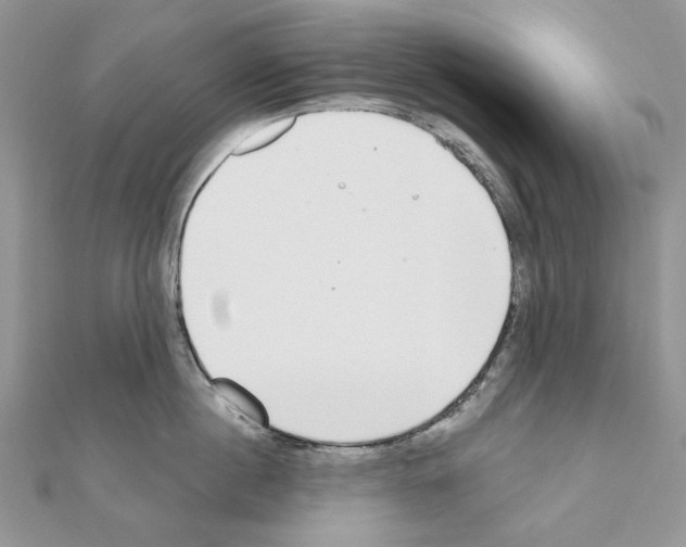 X0000110980860200907310948