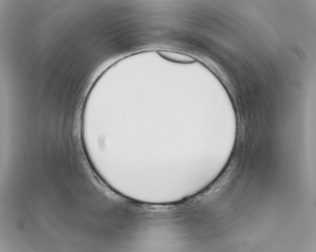 X0000110980862200907310948