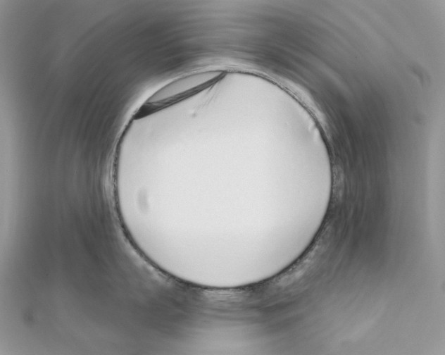 X0000110980863200907310948