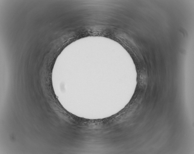 X0000110980865200907310947