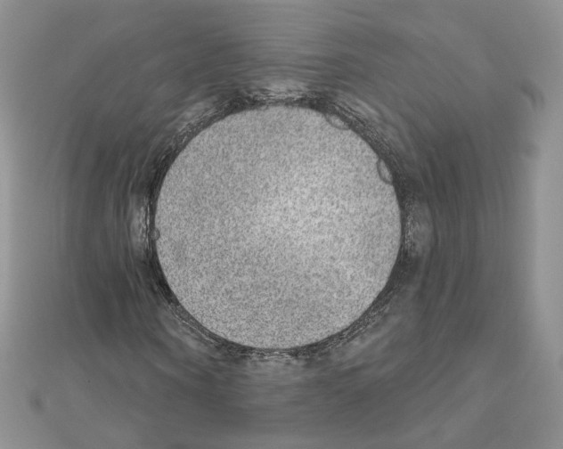 X0000110980866200907310947
