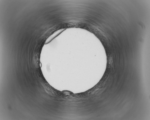 X0000110980868200907310947