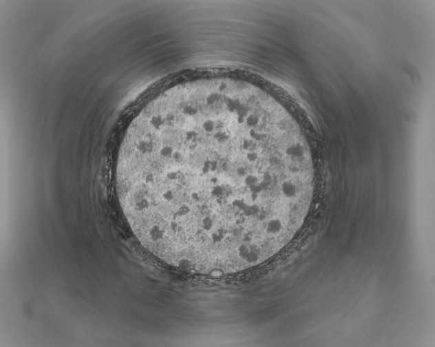 X0000110980871200907310947