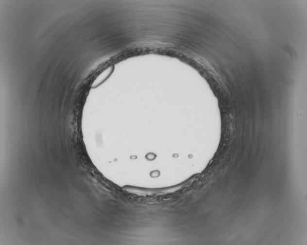 X0000110980872200907310947