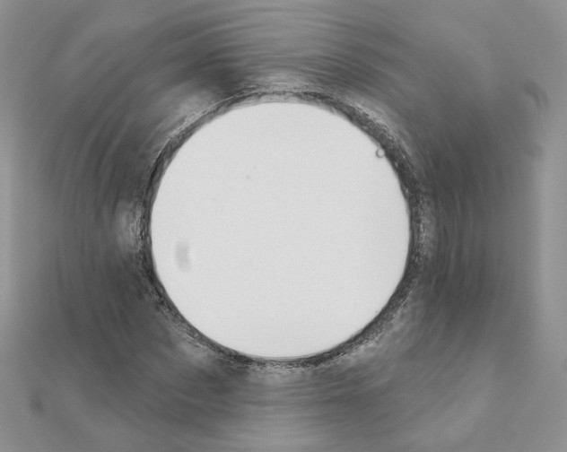 X0000110980873200907310947