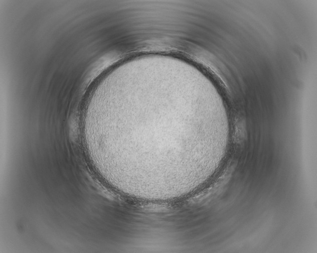 X0000110980874200907310947