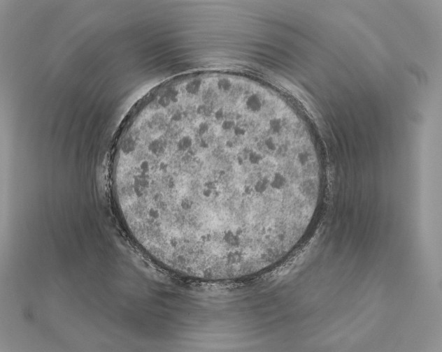 X0000110980875200907310947
