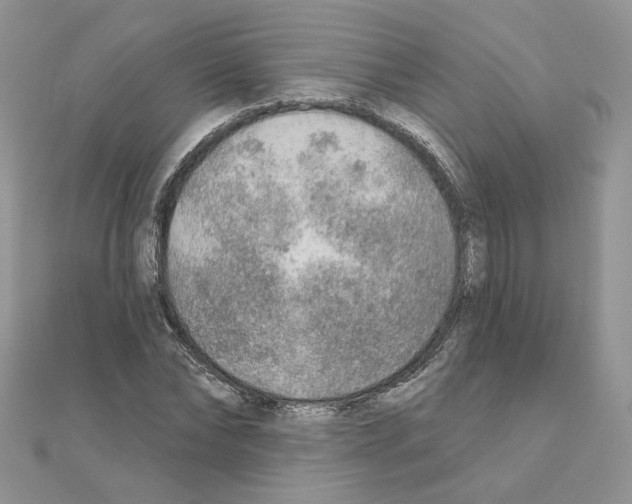 X0000110980878200907310947