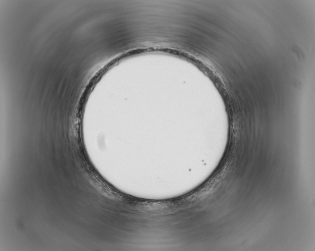 X0000110980879200907310947