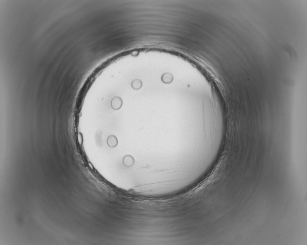 X0000110980880200907310947