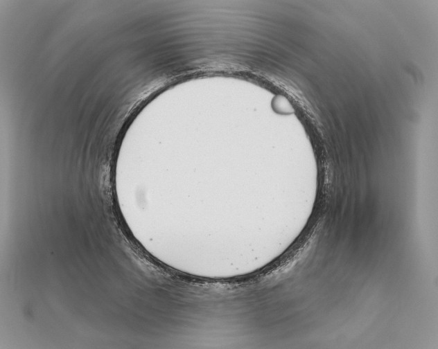 X0000110980881200907310947